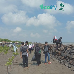 penanaman mangrove di Hutan Mangrove Blanakan, Subang, peserta dari berbagai kalangan turut serta untuk ikut berpasrtisipasi sebagai bentuk pencegahan abrasi yang terjadi di Subang