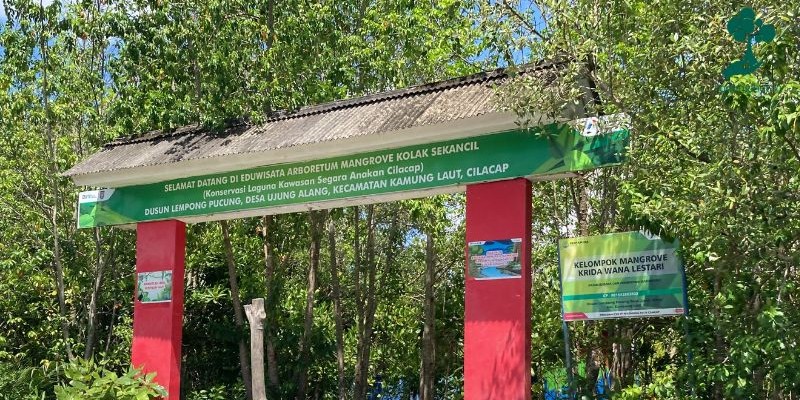Arboretum Mangrove Kolak Sekancil