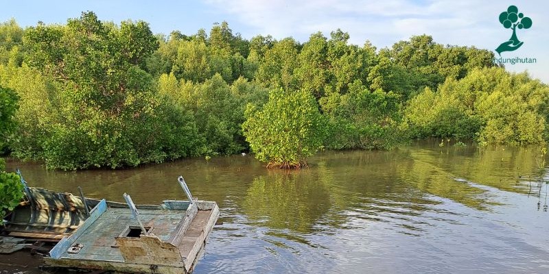 Lokasi penanaman mangrove pesisir Untia Makassar